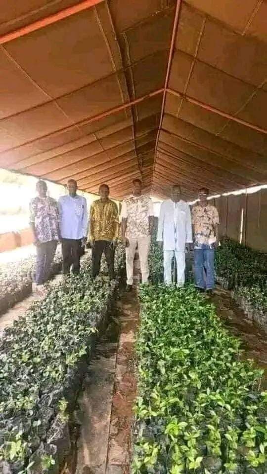 Pépinières agroforestières, ECOS Burkina