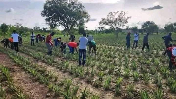 Campagne de plantation communautaire