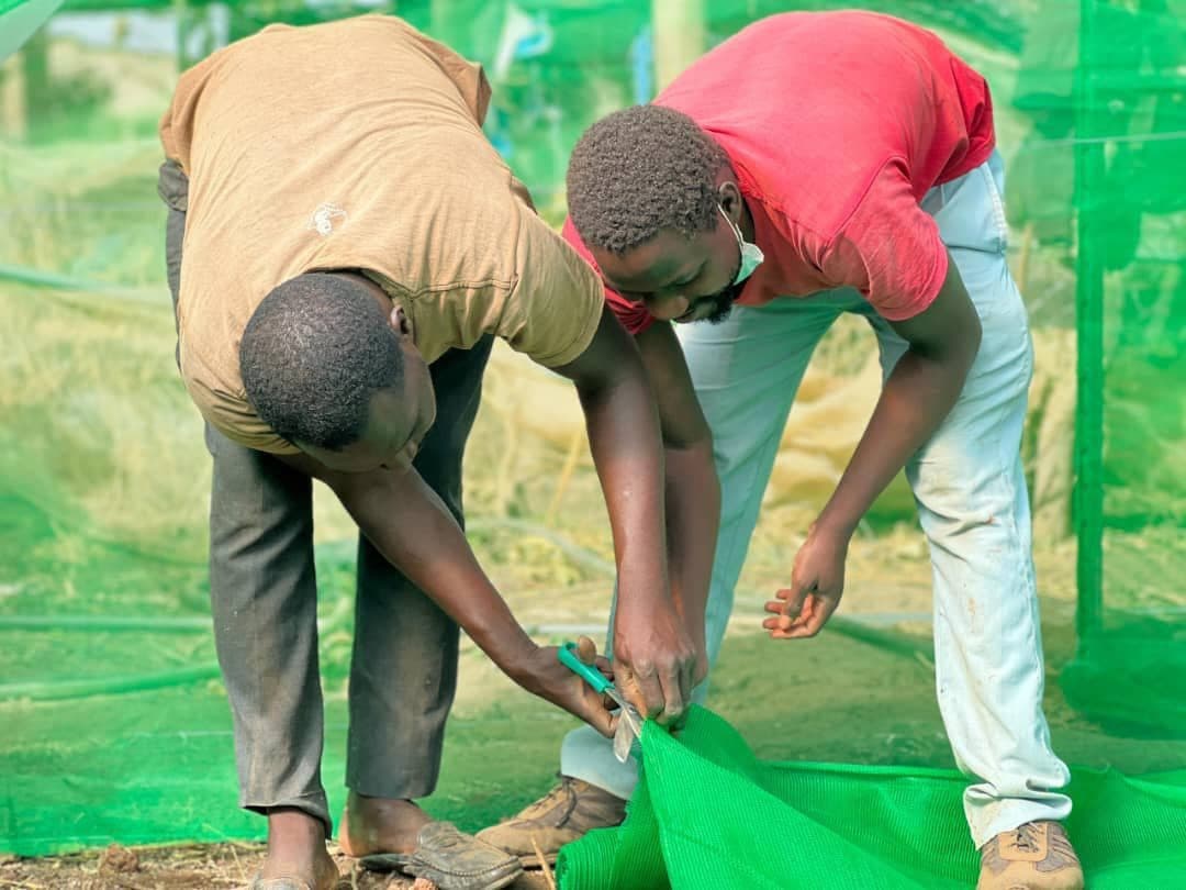 Installation de serres, jeunesse ECOS Burkina
